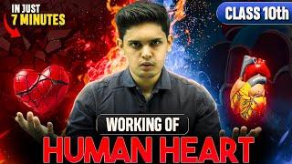 Working Of Human Heart | Life Processes | Class 10 Science | Prashant Kirad