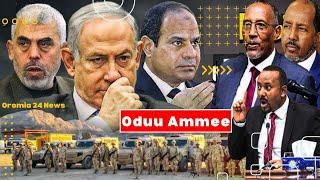 Oromia 24 News: Murtee Somaliland Akeekkachiisa Alsisi Israel Hamas War Ethiopia fi Somalia