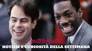 Cinema: notizie e curiosità della settimana | 6.12.2024