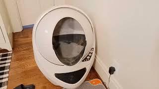 Litter Robot 3 Connect Core Bundle by Whisker Review