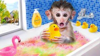  Cute monkey baby bath in the rainbow bathtub with duck | Maymun Animals Home Monkey Cartoon Video