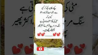 hakem lukman #quotes #urdu #following