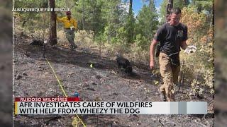 AFR helping investigate the cause of Ruidoso wildfires