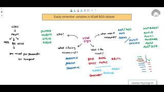 CDISC ADaM: Easily remember BDS dataset variables