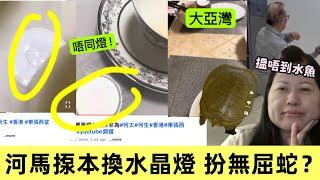 【河馬無心機】對賣淘寶西洋參片、果皮扮陳皮 完全零反駁｜頻送海鮮「朋友」原來係... ｜心情極低落地拍片｜欲帶貨搵水魚事敗 仍有「朋友」送水魚｜菁田邨換咗水晶燈？ #河馬 #何伯 #何太生活語錄