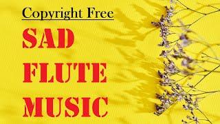 Sad Flute Music | Background Music 2021 | TS Music Zone