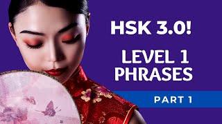 New HSK 1 Vocabulary Sentences / Phrases - HSK 3.0 Beginners Level 1 |  Part  1