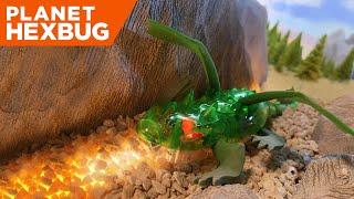 Planet HEXBUG - Season 2: Episode 1 - The Dragon