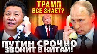 ТОВАРИЩ СИ, Я ГОТОВ! ПУТИН СРОЧНО СВЯЗАЛСЯ С КИТАЕМ! ОЧЕНЬ ХОЧУ ПОГОВОРИТЬ С ТРАМПОМ!