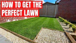 How to get the PERFECT LAWN - SIMPLE STEPS to get the LAWN you want