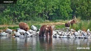 Kat's River View - Katmai National park | Highlights 2024