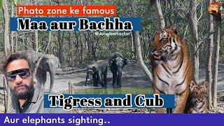 Famous Tigress & Cub | Phato Zone | Jim Corbett