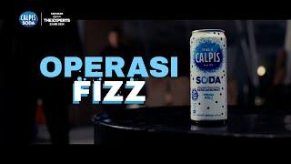 THE EXPERTS - THE EXPERTS X CALPIS