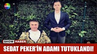 Sedat Peker'in adamı tutuklandı!