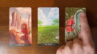 Follow your dream ⭐️ 6 December 2022 ⭐️ Your Daily Tarot Reading with Gregory Scott