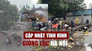 Giông lốc bất ngờ ở Hà Nội: Cây bật gốc đè người đi đường tử vong