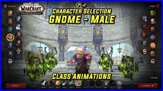 WoW Class Animations - Gnome Male - WoW Shadowlands  Character Creation Screen