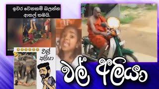 සම්මා රයිඩර් |sinhala meme athal |meme 2022|funny video sinhala|සුදු මහත්තයා