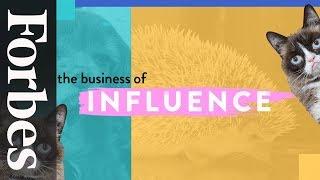 Grumpy Cat, Toast the Dog & Pet Influencers | The Business of Influence | Forbes