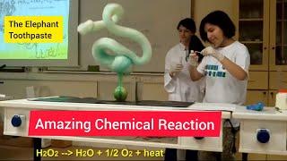 Fascinating Chemistry Experiments | Elephant Toothpaste | Amazing Chemistry Experiments #shorts