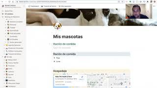 Tutorial básico de Notion en español