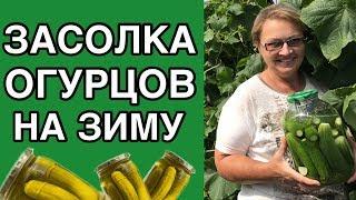 РЕЦЕПТ ОГУРЦОВ! Засолка огурцов на зиму. Рецепты на зиму.