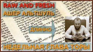 «Земляне» Эмор. 5784. weekly Torah lecture w/Asher Altshul.