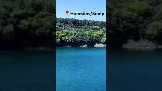 Hamsilos/ Sinop