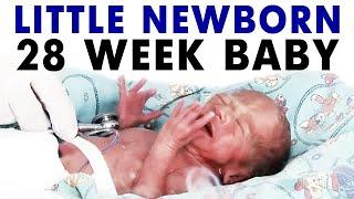 Маленький новорожденный 28 недель 7 месяцев ребенок малыш