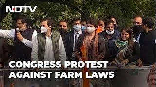 Congress Protest: 'Laws Meant To Finish Farmers' - Rahul Gandhi Leads Congress Delhi Protest