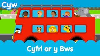 Cân Cyfri ar y Bws Cyw | Cyw's Counting on the Bus Song