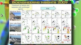 BioEngineering Insights 2009 - Systems Biology Part 2