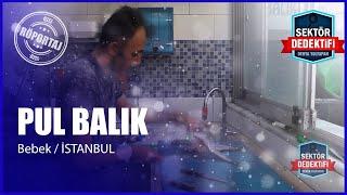 Pul Balık - Denizin Lezzeti