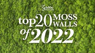 Top 20 Moss Walls of 2022 - Green Wallscapes