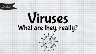 What Is A Virus? | Quick Learner