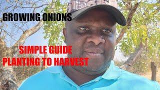 Profitable Onion Farming: Tips & Techniques In 2024