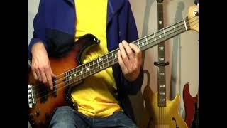 Brian Hyland - Itsy Bitsy Teenie Weenie Yellow Polkadot Bikini - Bass Cover