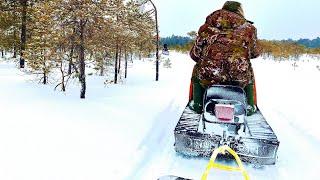 На три дня в тайгу! Крупный окунь начал клевать.