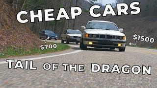 5 Cheap Cars Slay Tail of The Dragon // Winter Beater Challenge