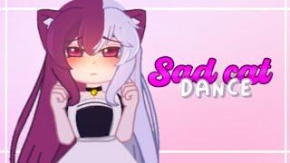 Sad cat Dance || meme/trend || gacha club