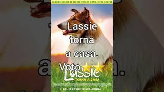 Lassie torna a casa. Voto ⭐⭐. #lassietornaacasa