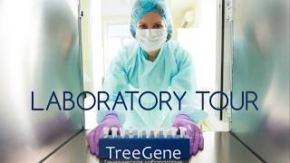 TreeGene laboratory Tour / Виртуальный тур по лаборатории Триген