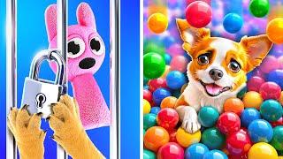 Pinki Is In Danger  *Dog Becomes A Superhero And Saves His Toy From Aliens In A Maze*