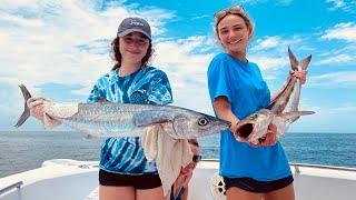 LIVE Chumming for COBIA & KING MACKEREL