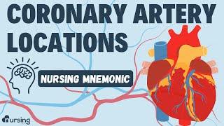 Coronary Artery Locations- Nursing Mnemonic