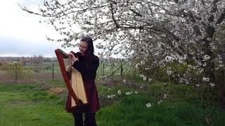 Aníron - Enya (Small Harp Cover)