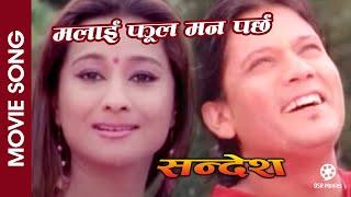 Malai Phool Man Parchha || SANDESH Nepali Movie Song || Sushil Chhetri, Rejina || Anju Panta, Rajesh