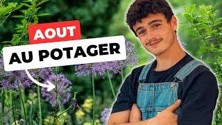 LE POTAGER DU MOIS D'AOUT - Beaucoup de récoltes !