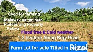 #Vlog241 FARM LOT FOR SALE TITLED in Rizal Area | Good for farming along the road