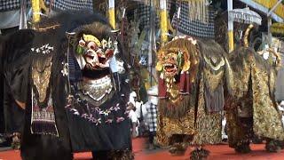 BARONG MACAN VS BARONG BANGKUNG Di Mengwitani Badung BALI